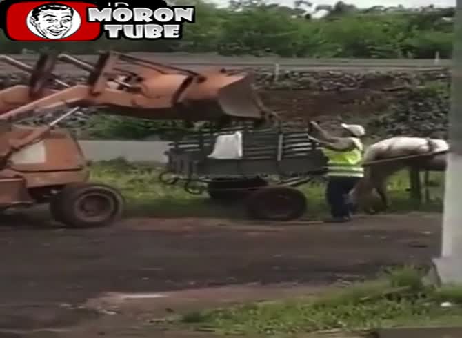 Video :A really solid block of stone vs a starving cart (FAIL)